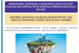 Monitorizarea, întreținerea și reabilitarea